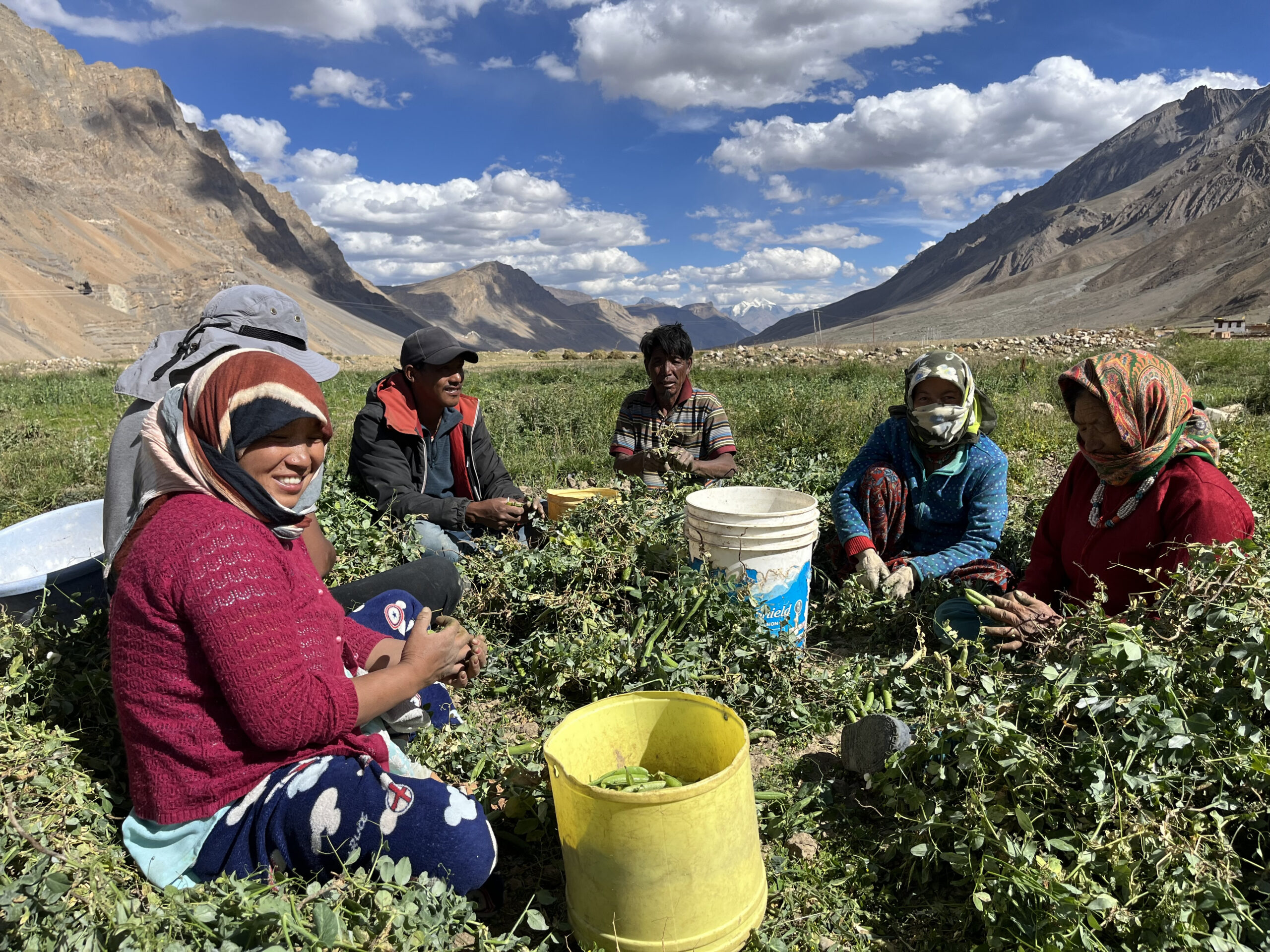 StandUp - Earth Day edition