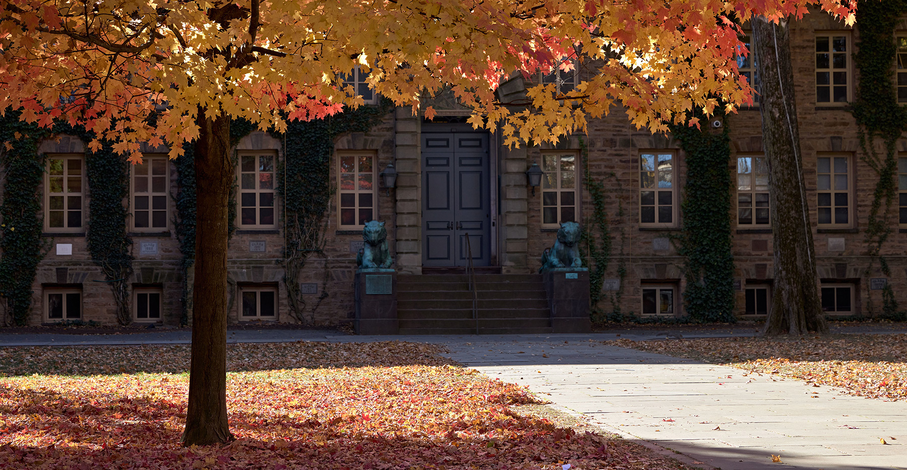 Understanding university endowments